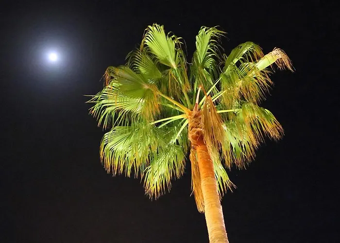 Columbus And Restaurant Παγκουέρα