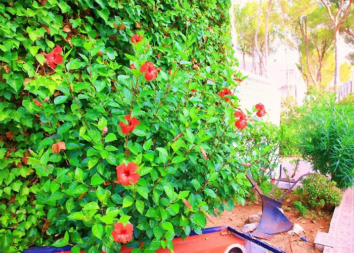 Πανσιόν Columbus And Restaurant 4*