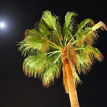 Columbus And Restaurant Peguera