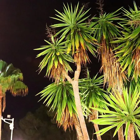 Pensjonat Columbus And Restaurant Peguera