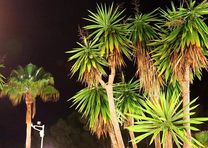 Pensión Columbus And Restaurant Peguera