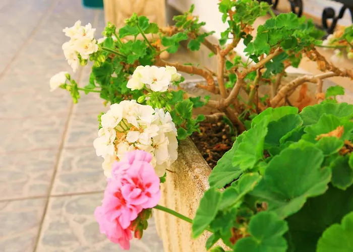 Columbus And Restaurant Παγκουέρα