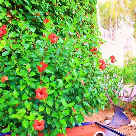 Πανσιόν Columbus And Restaurant 4*