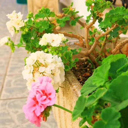 Columbus And Restaurant Παγκουέρα